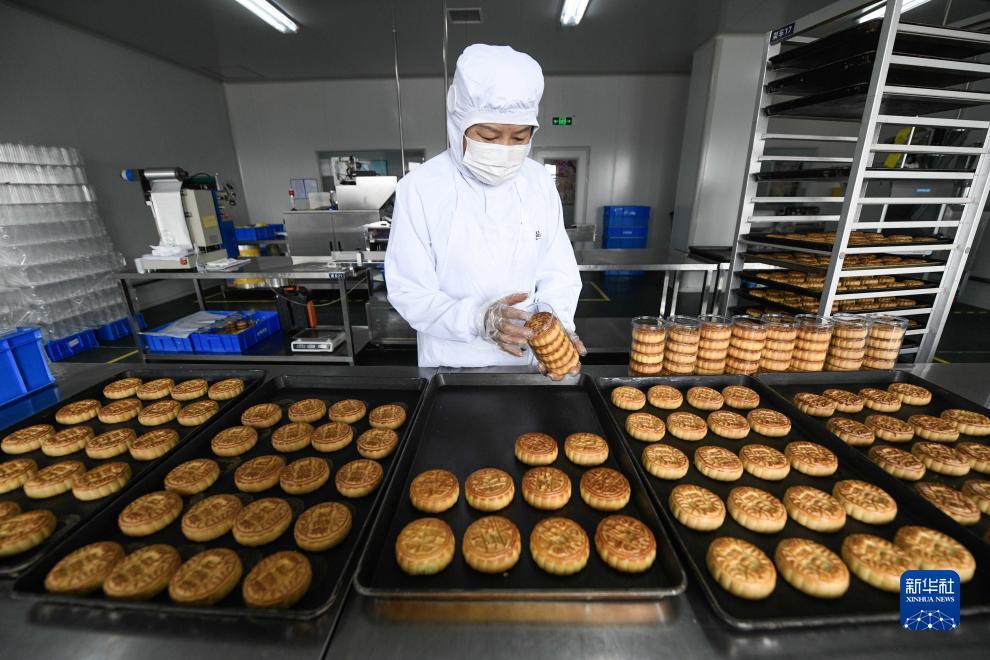 新匍京官网中文网站